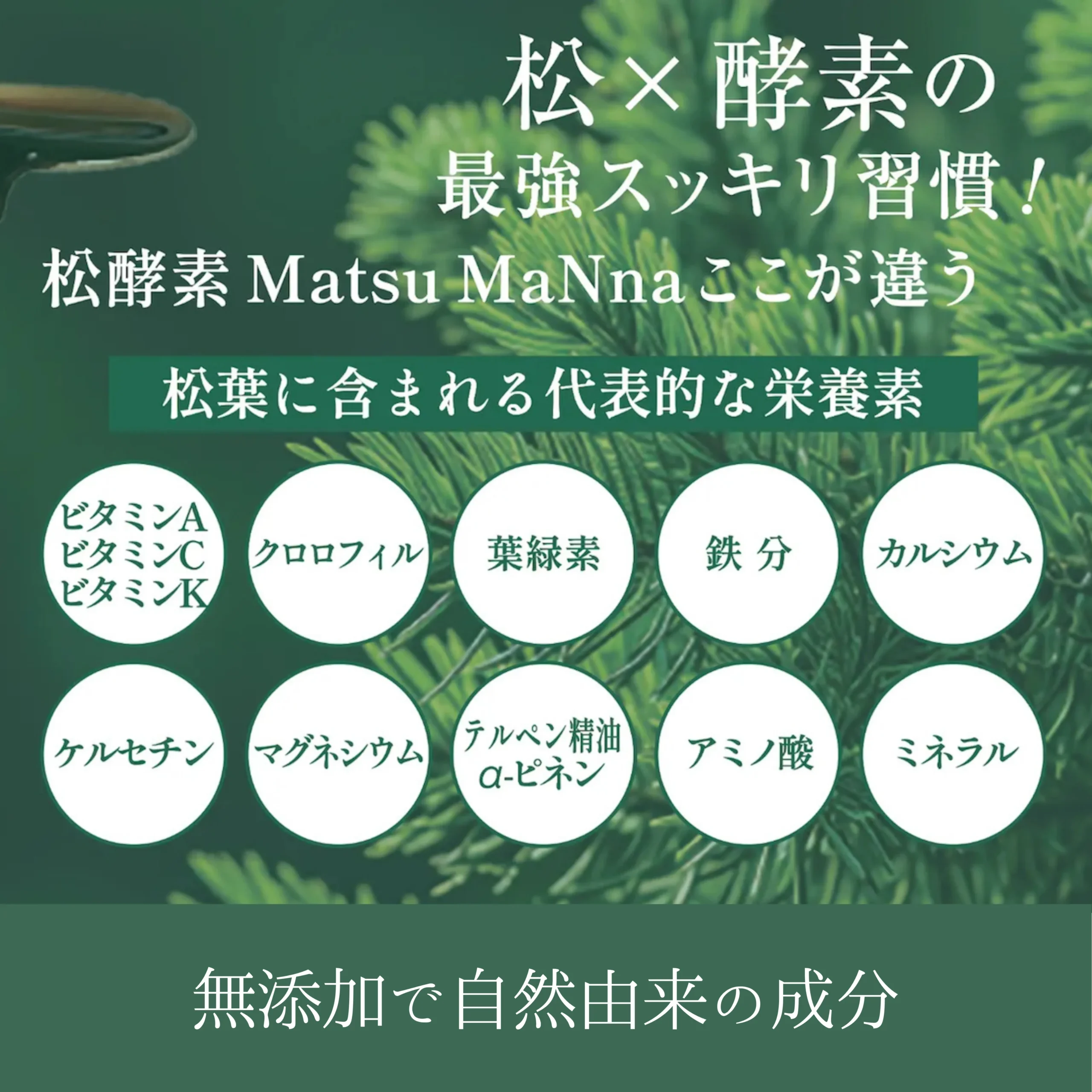 松葉に含まれる代表的な栄養素