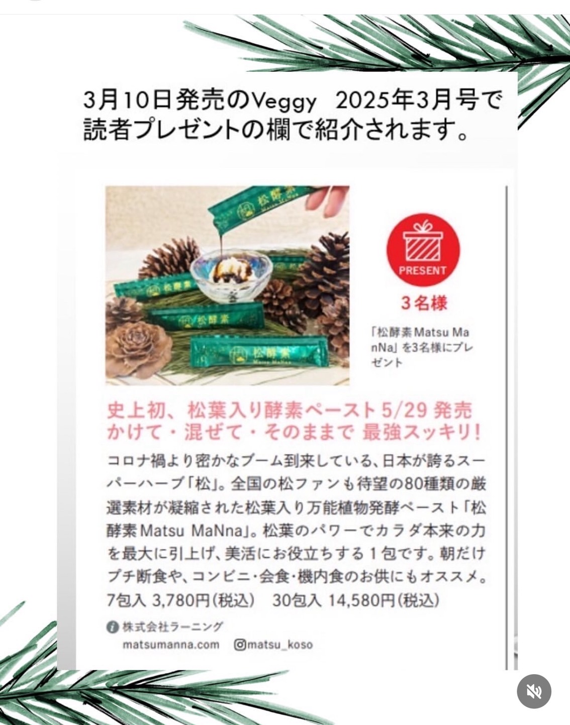 Veggy掲載画像